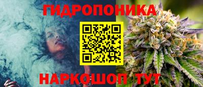 прущие крисы Заводоуковск